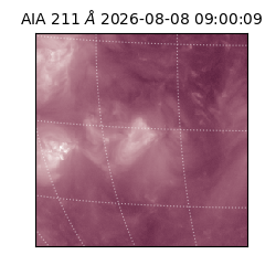saia - 2026-08-08T09:00:09.623000