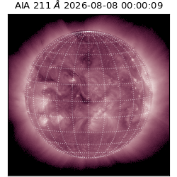 saia - 2026-08-08T00:00:09.624000
