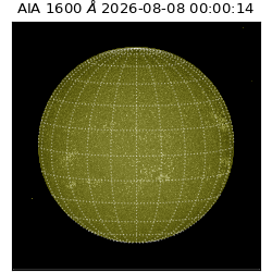 saia - 2026-08-08T00:00:14.124000