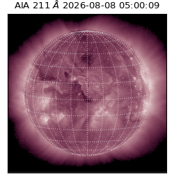 saia - 2026-08-08T05:00:09.624000
