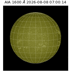 saia - 2026-08-08T07:00:14.124000