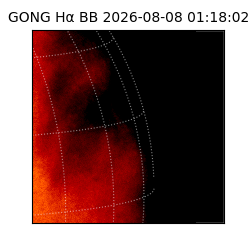 gong - 2026-08-08T01:18:02