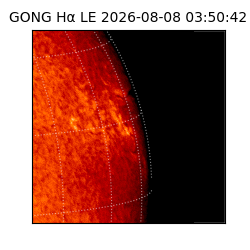 gong - 2026-08-08T03:50:42