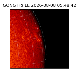 gong - 2026-08-08T05:48:42