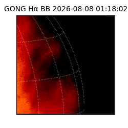 gong - 2026-08-08T01:18:02