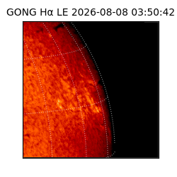 gong - 2026-08-08T03:50:42