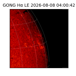 gong - 2026-08-08T04:00:42