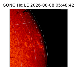 gong - 2026-08-08T05:48:42