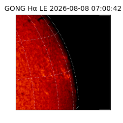 gong - 2026-08-08T07:00:42