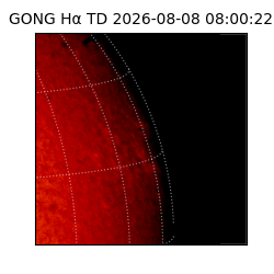 gong - 2026-08-08T08:00:22