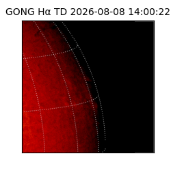 gong - 2026-08-08T14:00:22