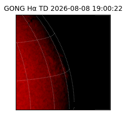 gong - 2026-08-08T19:00:22