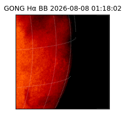 gong - 2026-08-08T01:18:02