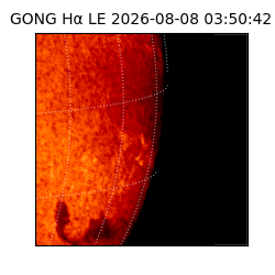 gong - 2026-08-08T03:50:42