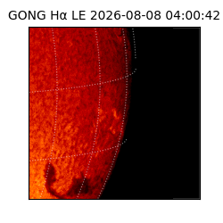 gong - 2026-08-08T04:00:42