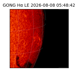gong - 2026-08-08T05:48:42