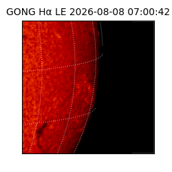 gong - 2026-08-08T07:00:42