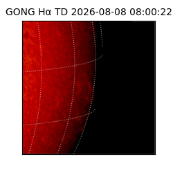 gong - 2026-08-08T08:00:22