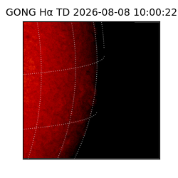 gong - 2026-08-08T10:00:22