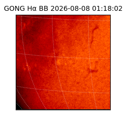 gong - 2026-08-08T01:18:02