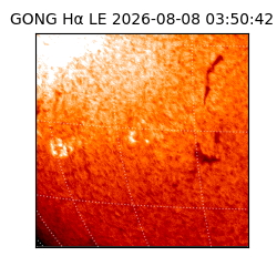 gong - 2026-08-08T03:50:42