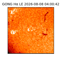 gong - 2026-08-08T04:00:42
