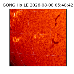 gong - 2026-08-08T05:48:42