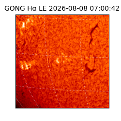 gong - 2026-08-08T07:00:42