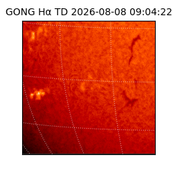 gong - 2026-08-08T09:04:22