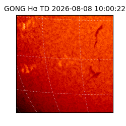 gong - 2026-08-08T10:00:22