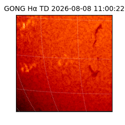 gong - 2026-08-08T11:00:22