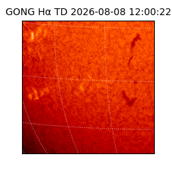gong - 2026-08-08T12:00:22