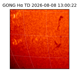 gong - 2026-08-08T13:00:22