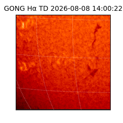 gong - 2026-08-08T14:00:22