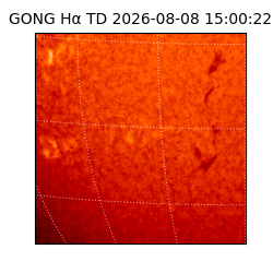 gong - 2026-08-08T15:00:22