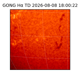 gong - 2026-08-08T18:00:22