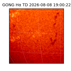 gong - 2026-08-08T19:00:22