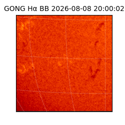 gong - 2026-08-08T20:00:02
