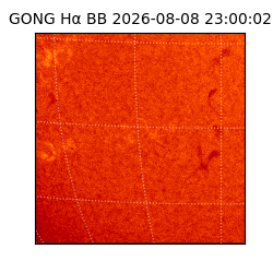gong - 2026-08-08T23:00:02