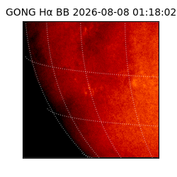 gong - 2026-08-08T01:18:02