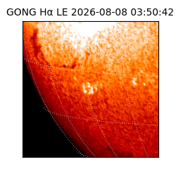 gong - 2026-08-08T03:50:42