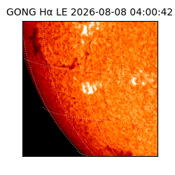 gong - 2026-08-08T04:00:42