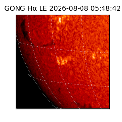 gong - 2026-08-08T05:48:42
