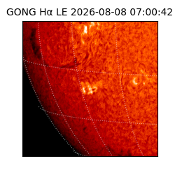 gong - 2026-08-08T07:00:42