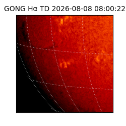 gong - 2026-08-08T08:00:22