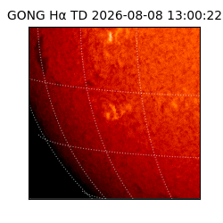 gong - 2026-08-08T13:00:22