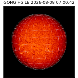 gong - 2026-08-08T07:00:42