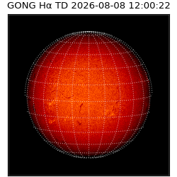 gong - 2026-08-08T12:00:22