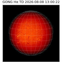 gong - 2026-08-08T13:00:22