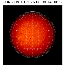 gong - 2026-08-08T14:00:22
